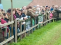 dingley-racecourse-promotional-images-2012-014-jpg