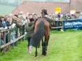 dingley-racecourse-promotional-images-2012-015-jpg