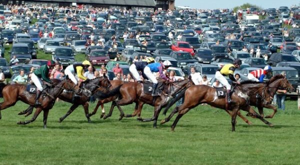 Race Day Preview – Dingley Races 13th May 2023