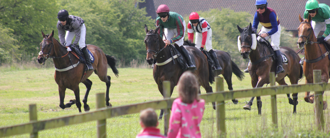 Race Days – Dingley Races